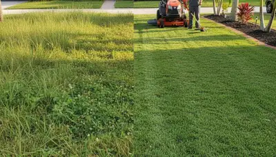 Before and after lawn mowing comparison showing professional yard care in Miami, FL