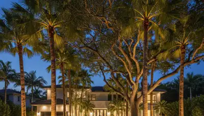 Dramatic tree uplighting design by Miami FL landscaping experts showcasing professional outdoor lighting